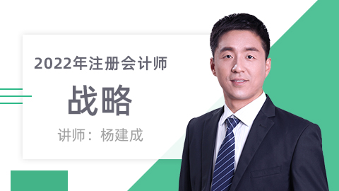 22注册会计师-战略 